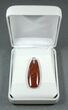 Red, Agatized Dinosaur Bone (Gembone) Pendant #84755-2